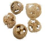 Natural Loofa Slice (5 pack)