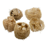 Natural Loofa Slice (5 pack)