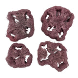 Ebony Carrot Loofa (each)
