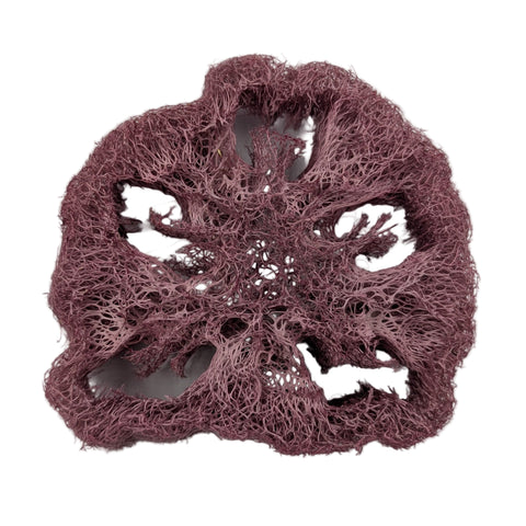 Ebony Carrot Loofa (each)