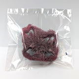 Ebony Carrot Loofa (each)