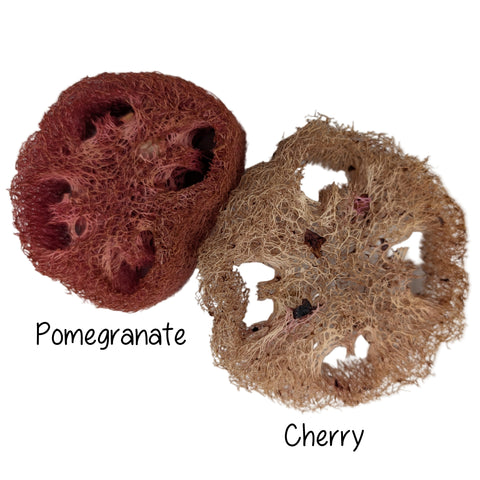 Cherry and Pomegranate Loofa (2 pack)