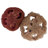 Cherry and Pomegranate Loofa (2 pack)