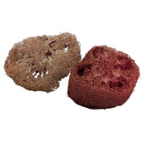 Cherry and Pomegranate Loofa (2 pack)