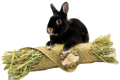Hay-rito